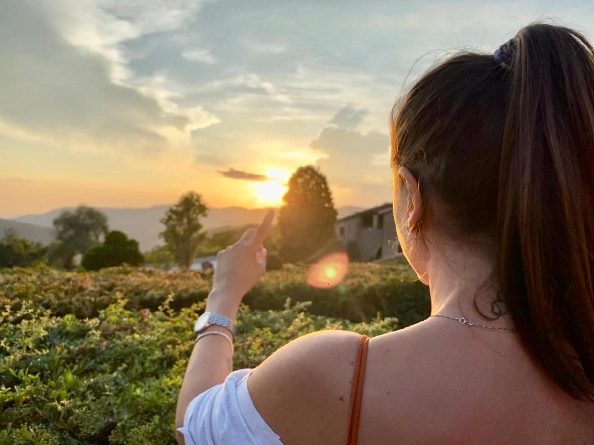 Agriturismo Le Case Assisi Eksteriør billede