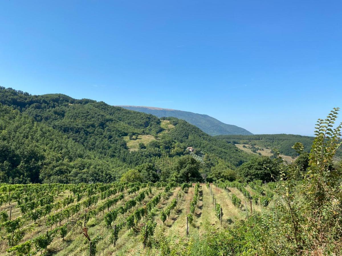 Agriturismo Le Case Assisi Eksteriør billede