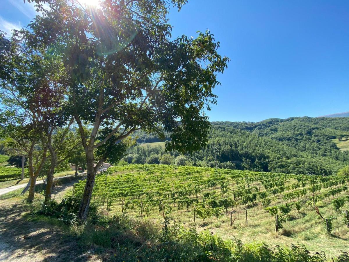 Agriturismo Le Case Assisi Eksteriør billede