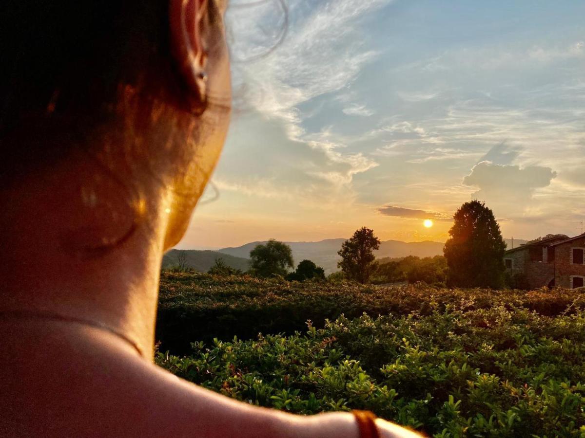 Agriturismo Le Case Assisi Eksteriør billede