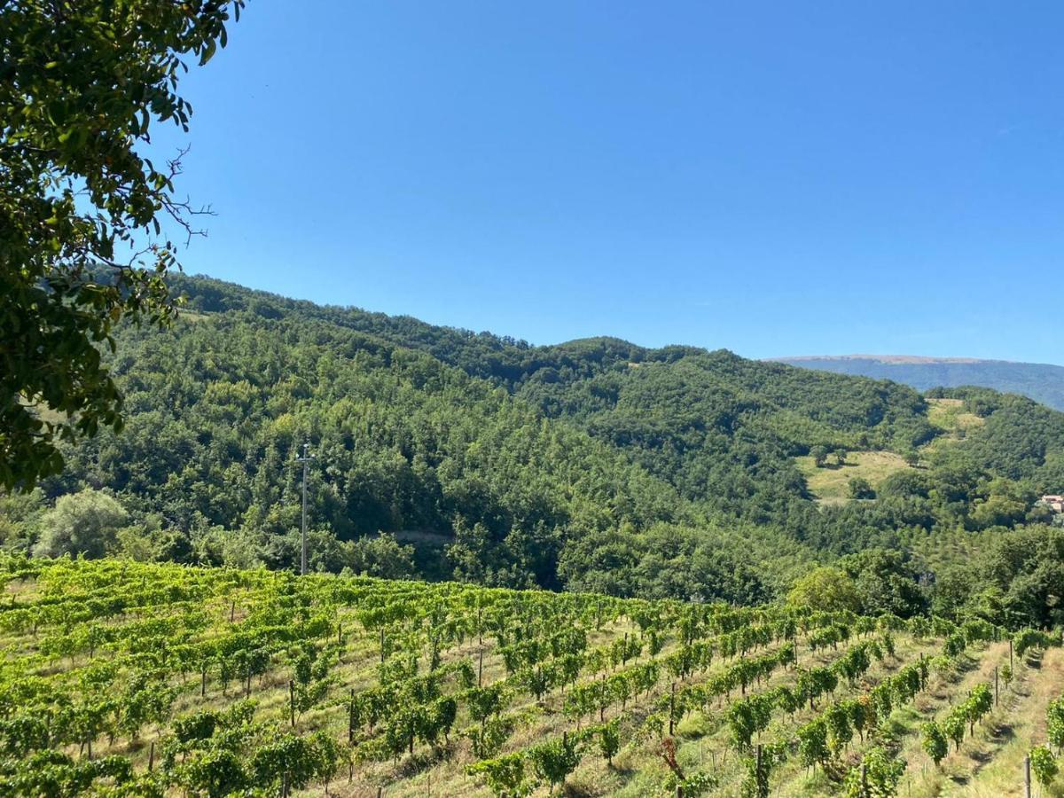 Agriturismo Le Case Assisi Eksteriør billede