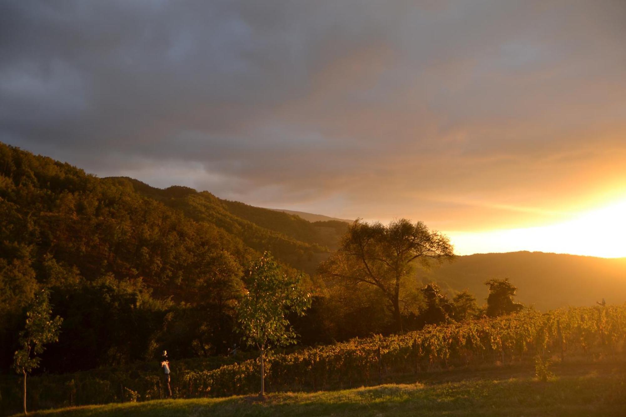 Agriturismo Le Case Assisi Eksteriør billede