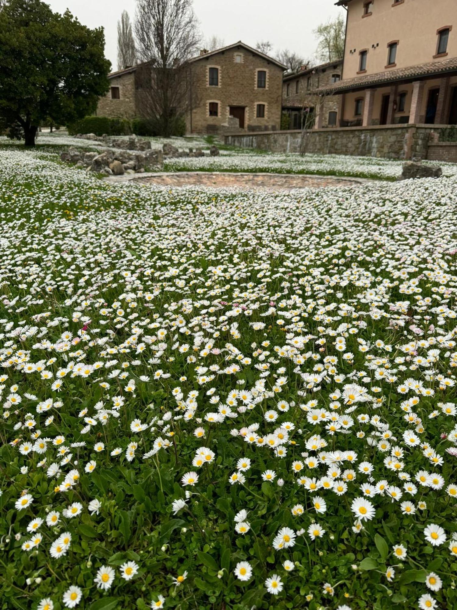 Agriturismo Le Case Assisi Eksteriør billede