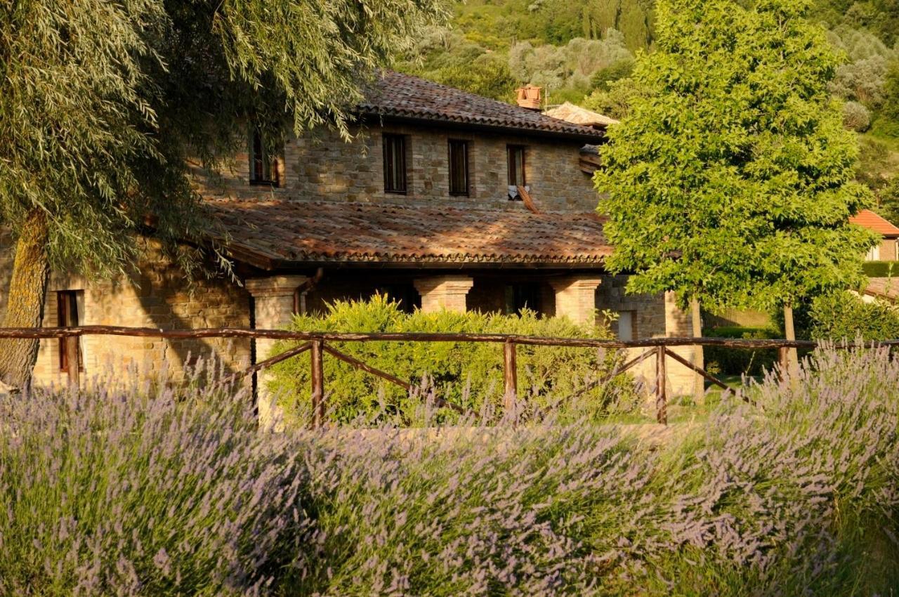Agriturismo Le Case Assisi Eksteriør billede